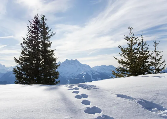 Christina 9 By Interhome Apartament Villars-sur-Ollon